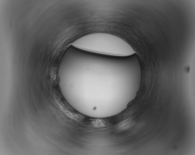 X0000116010091200911191248