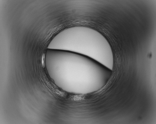 X0000116010094200911191248