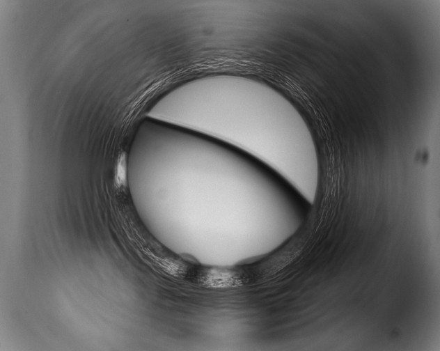X0000116010095200911191248