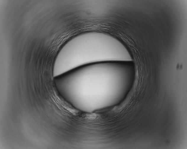 X0000116010096200911191248