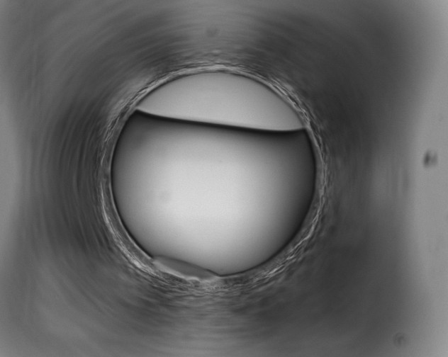 X0000116010097200911191248