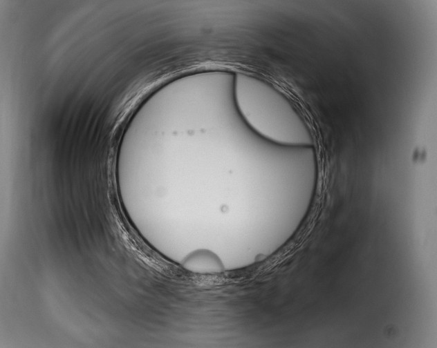 X0000116010098200911191248