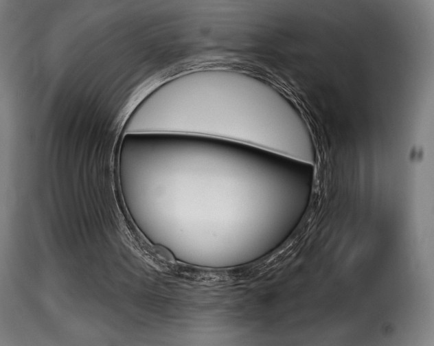 X0000116010099200911191247