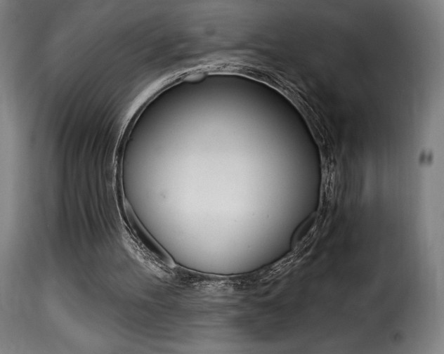 X0000116010100200911191247