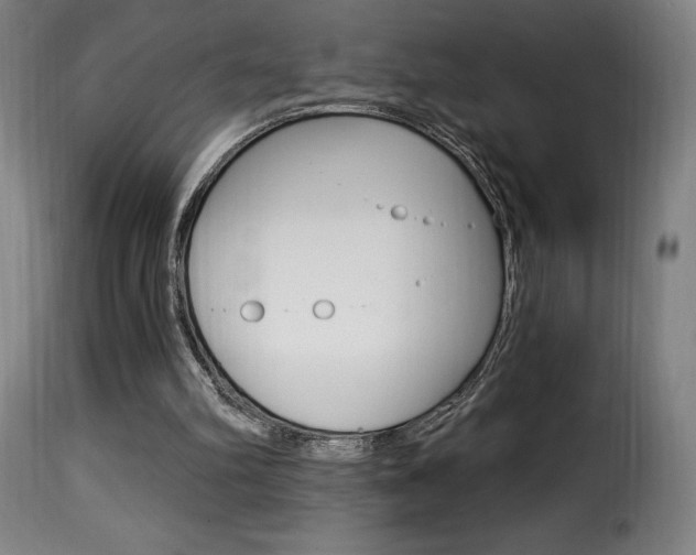 X0000116010102200911191247