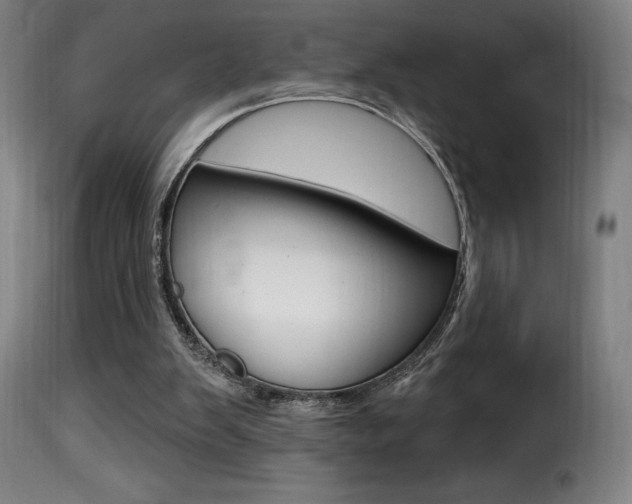 X0000116010103200911191247