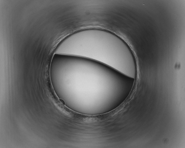 X0000116010105200911191247