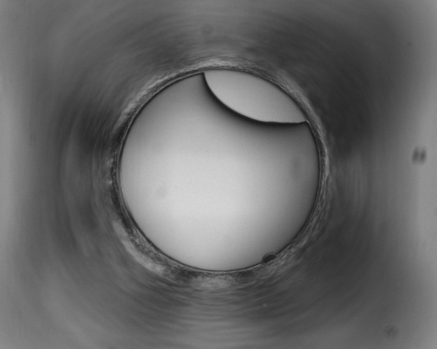 X0000116010106200911191247