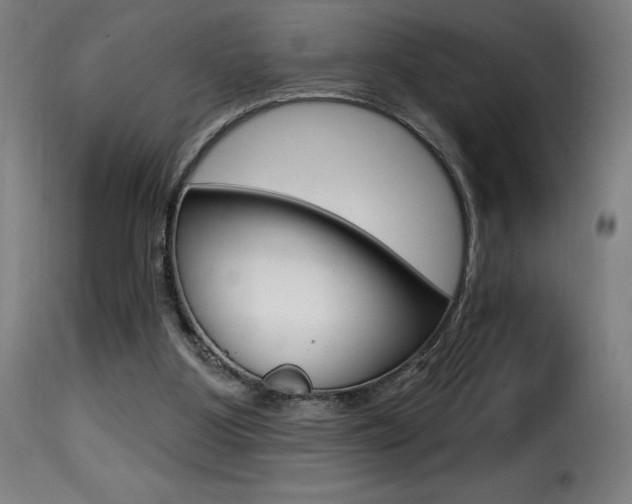 X0000116010107200911191247