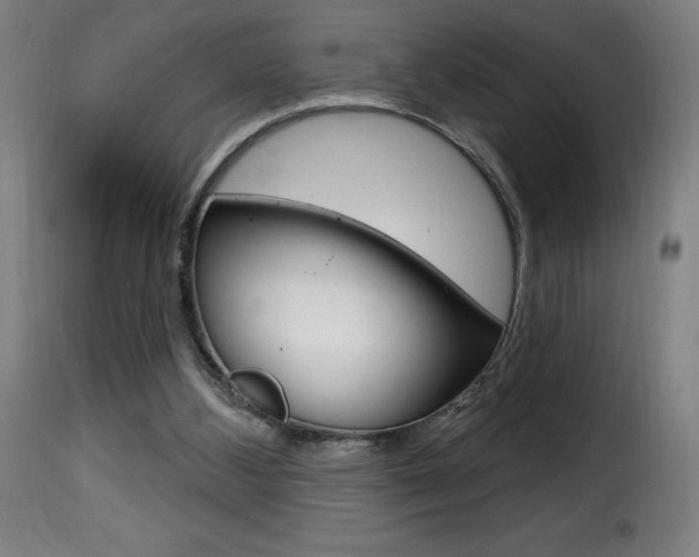 X0000116010108200911191247