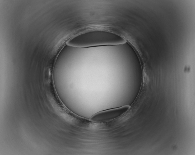 X0000116010109200911191247