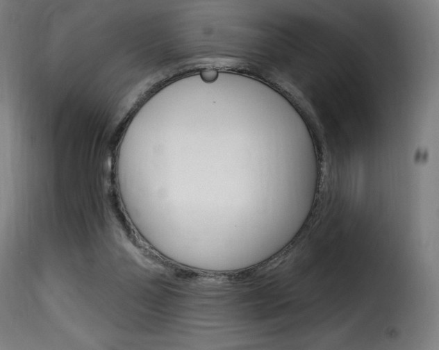 X0000116010110200911191247