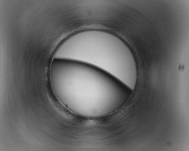 X0000116010111200911191247