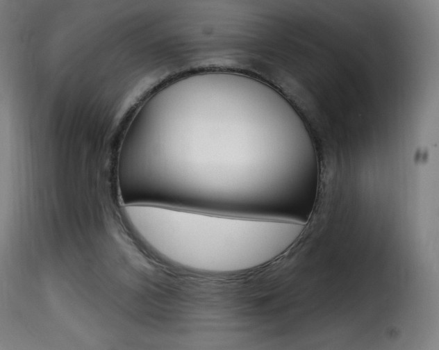 X0000116010112200911191247