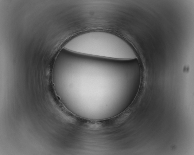 X0000116010113200911191247