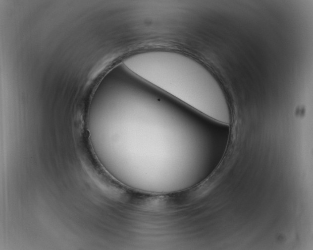 X0000116010116200911191247