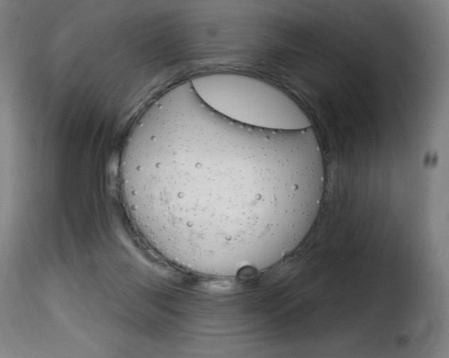 X0000116010118200911191247