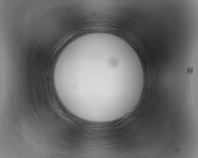 X0000116010120200911191247
