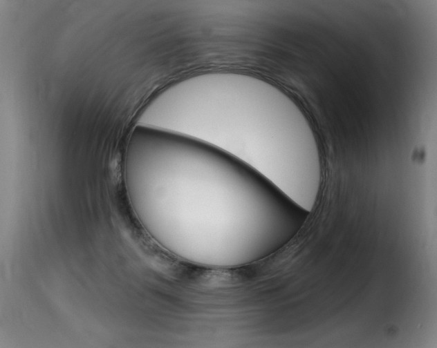 X0000116010123200911191247