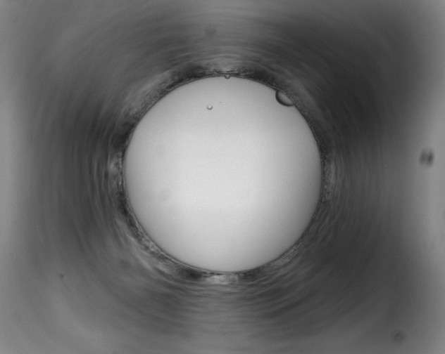 X0000116010126200911191247