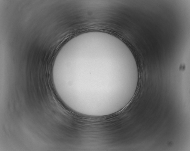 X0000116010128200911191247