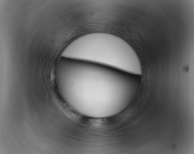 X0000116010131200911191247