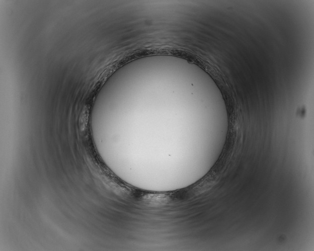 X0000116010133200911191247