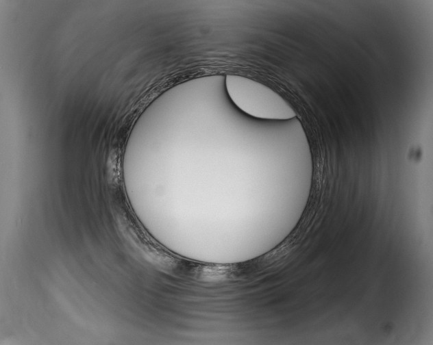 X0000116010134200911191247