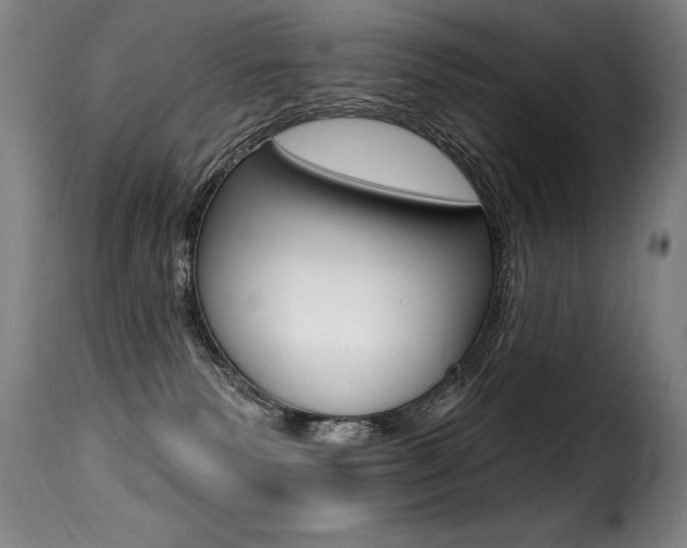 X0000116010135200911191247