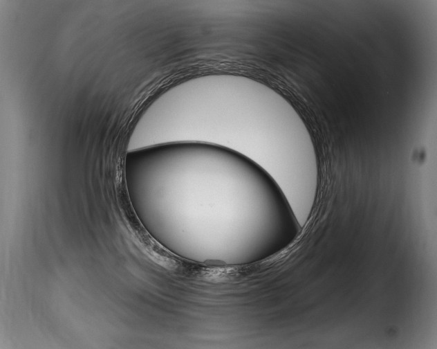 X0000116010136200911191247