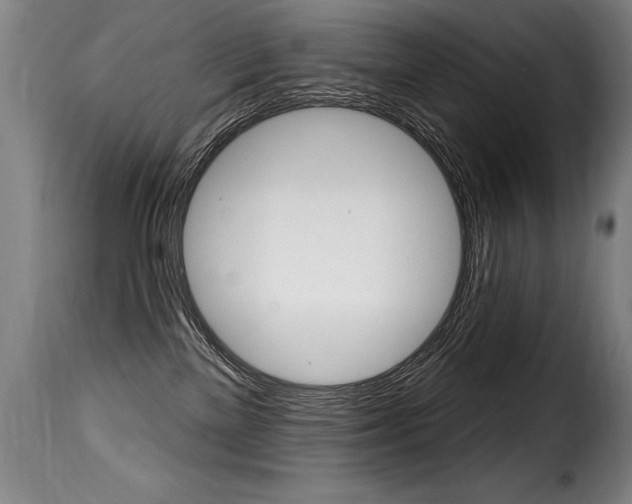 X0000116010137200911191247