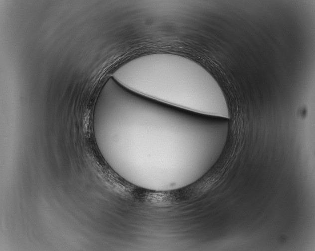 X0000116010139200911191247