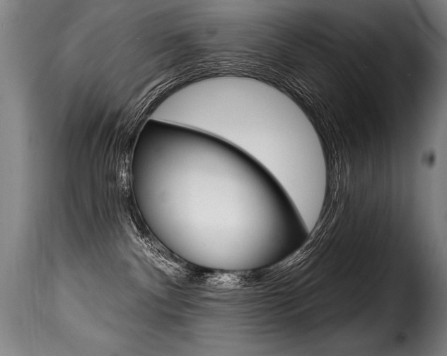 X0000116010140200911191247