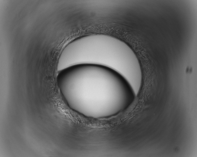 X0000116010144200911191247