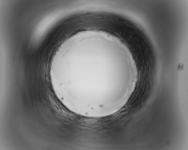X0000116010146200911191246