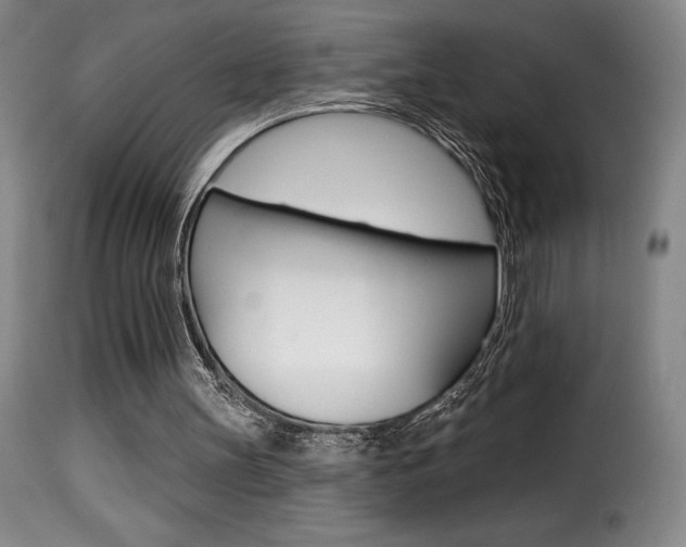 X0000116010147200911191246