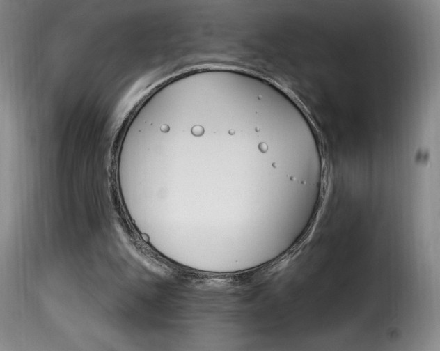 X0000116010151200911191246