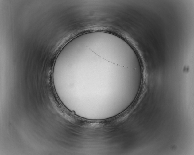 X0000116010153200911191246