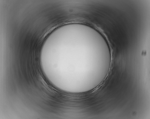 X0000116010154200911191246