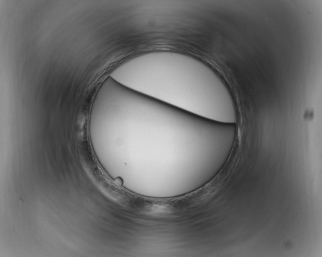 X0000116010157200911191246