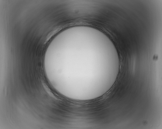 X0000116010158200911191246