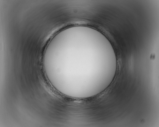 X0000116010159200911191246
