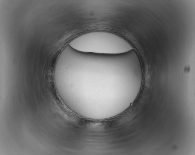 X0000116010161200911191246