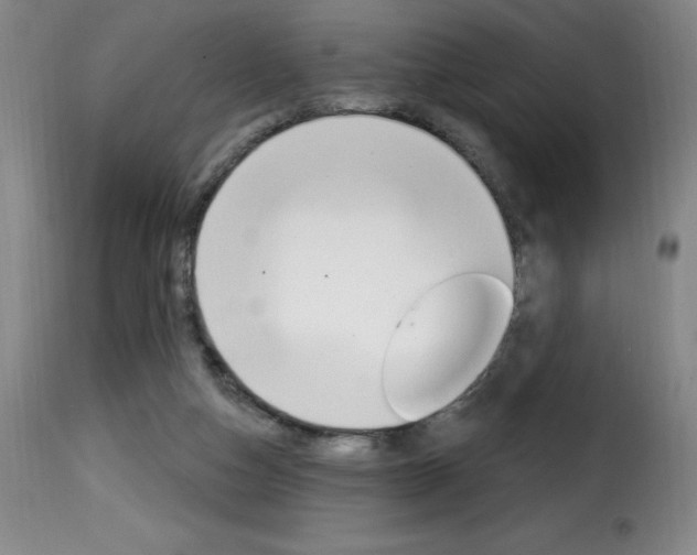 X0000116010162200911191246