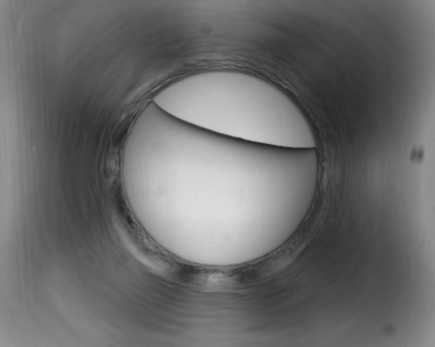X0000116010165200911191246