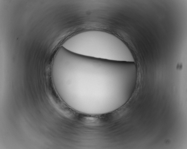 X0000116010167200911191246