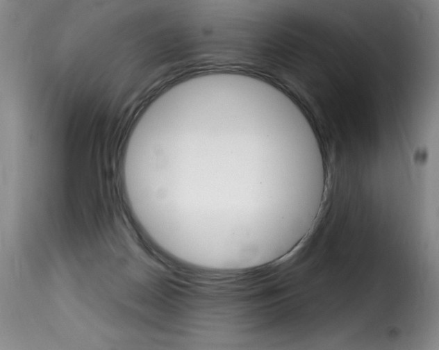 X0000116010170200911191246