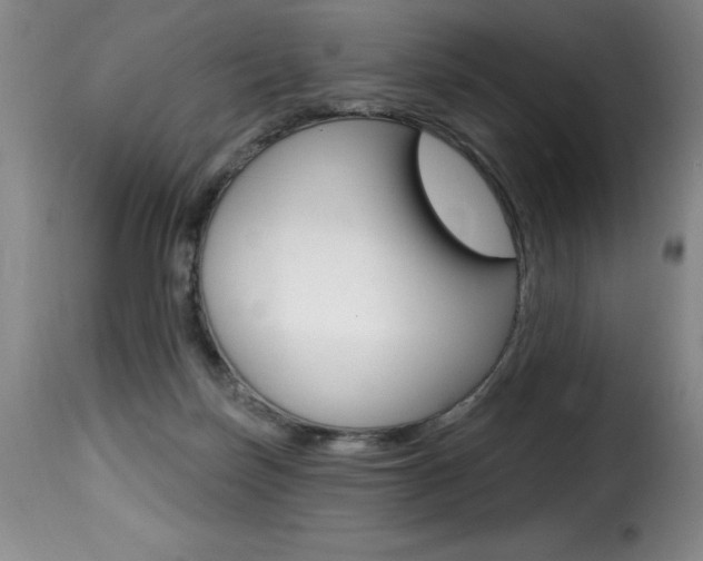 X0000116010171200911191246