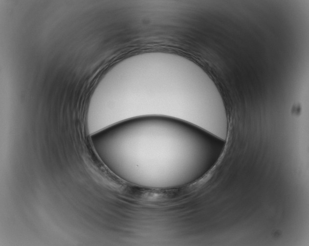 X0000116010174200911191246