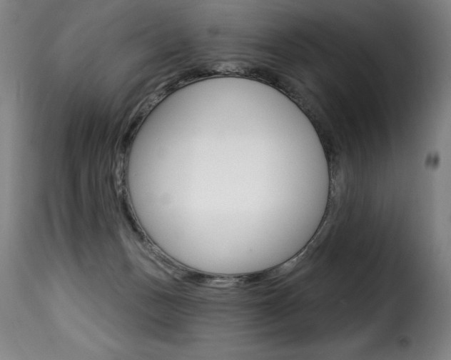 X0000116010175200911191246